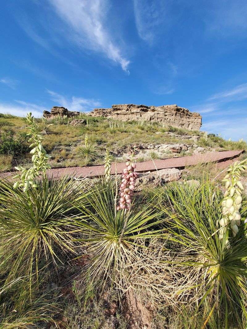 Best Seasons for a Panhandle Visit