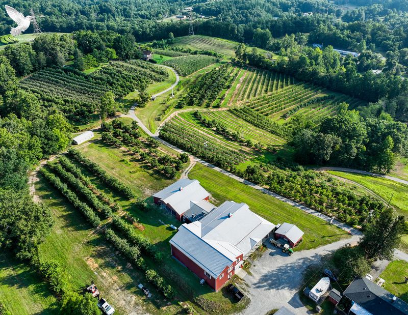 Apple Hill Orchard & Cider Mill, Morganton