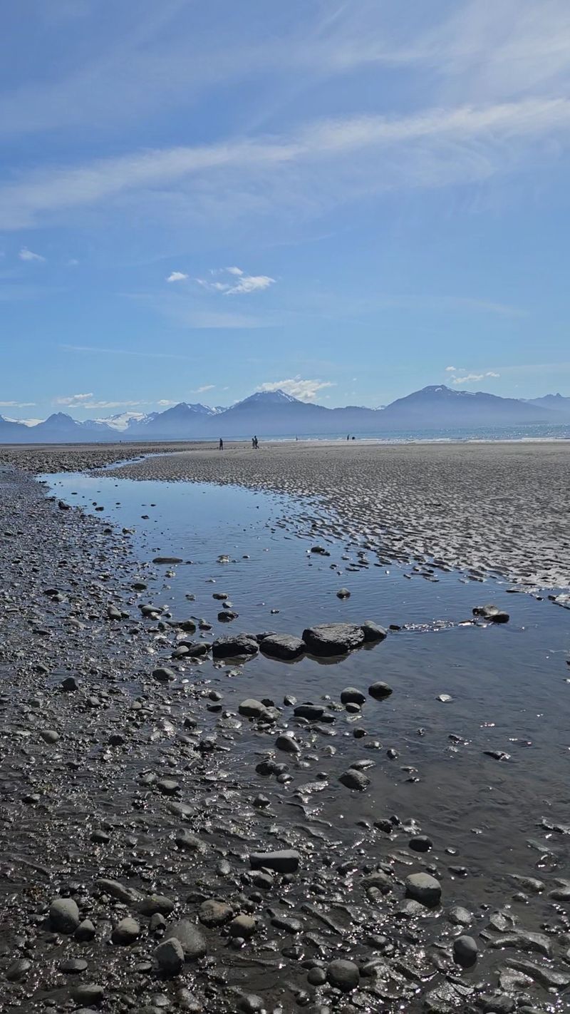 Most Visitors Avoid This Alaska Beach In Fall, But Locals Know It's Perfect For Tidepooling - Decor Hint Enjoy The Quieter Shore