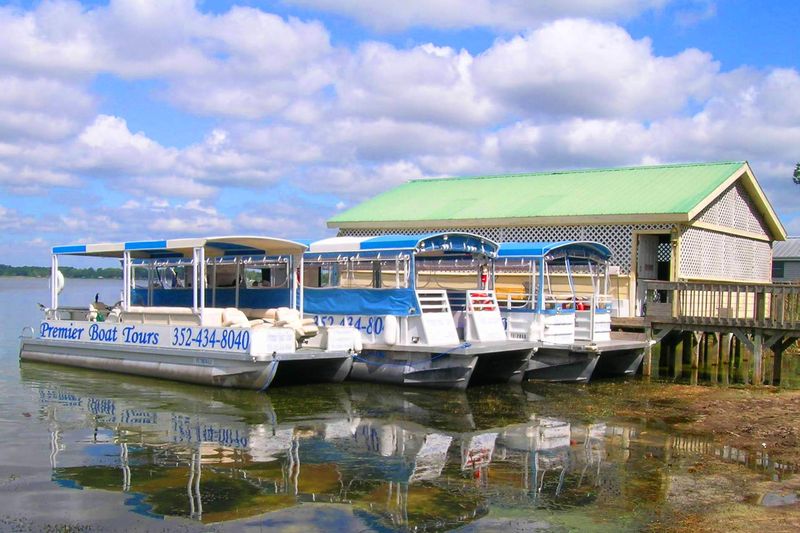 Mount Dora Lakeside Charm