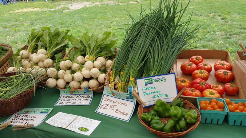 9 Connecticut Farmers Markets Brimming With Harvest Foods And Happy Crowds - Decor Hint Coventry Farmers’ Market, Coventry