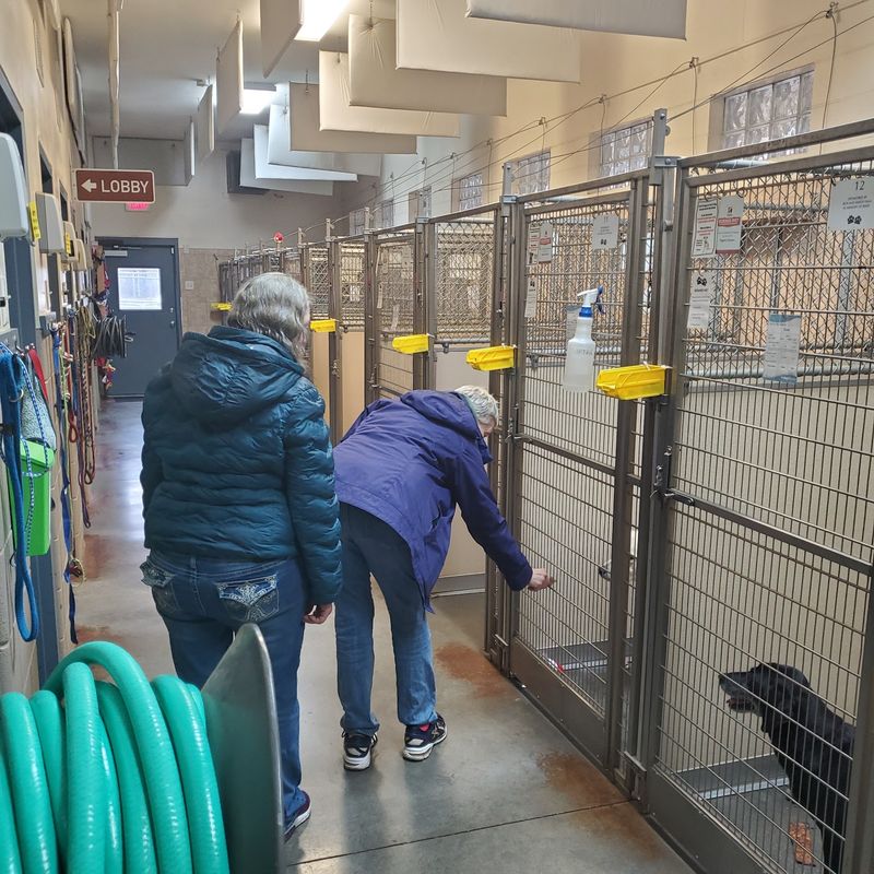 Woodford Humane Society