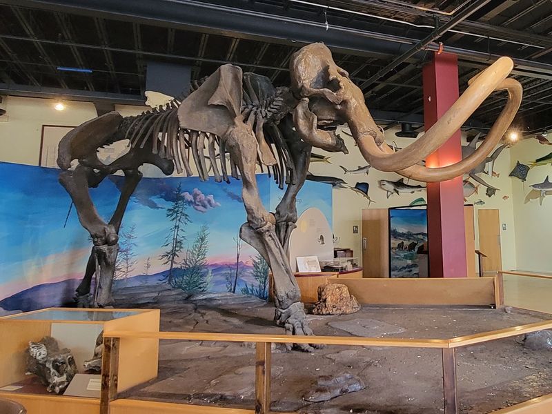 Owensboro Museum Of Science And History