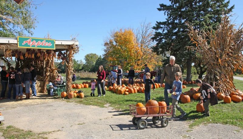 A Farm That Has Outlasted Almost Everything Around It