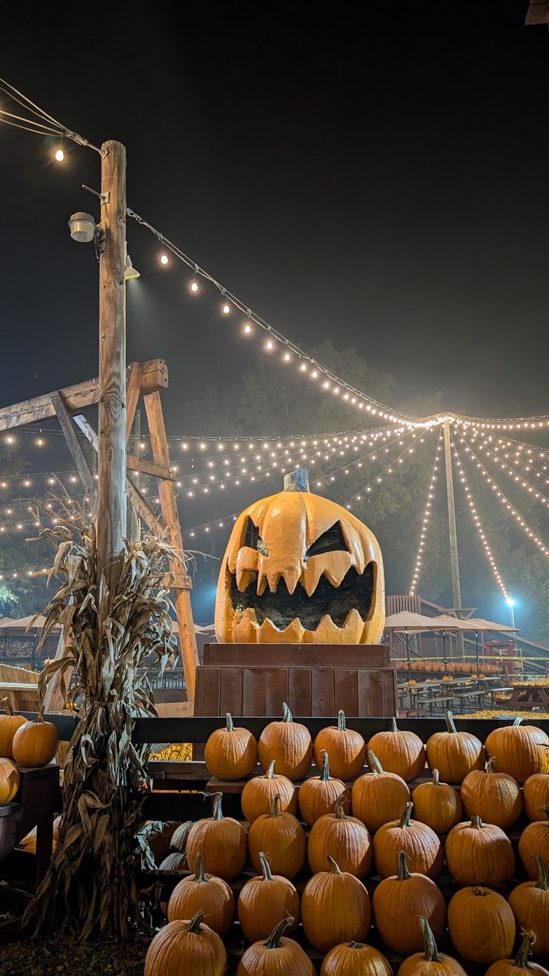 Woods of Terror, Greensboro