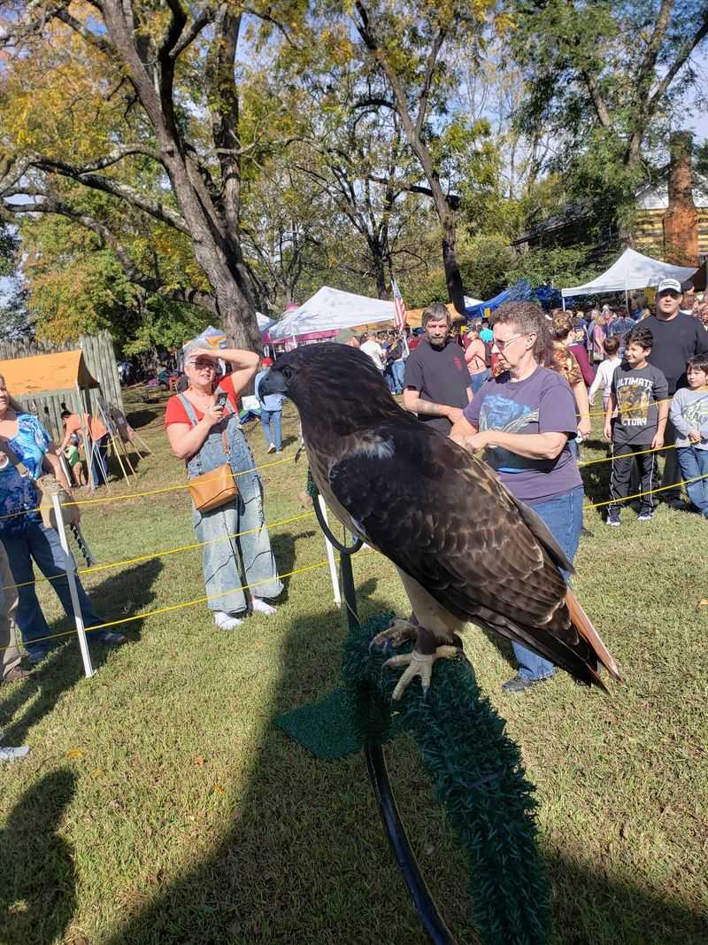 This Free North Carolina Apple Festival Takes Over A Historic Park This Weekend - Decor Hint This Is Bethabara’s Biggest Event Of The Entire Year