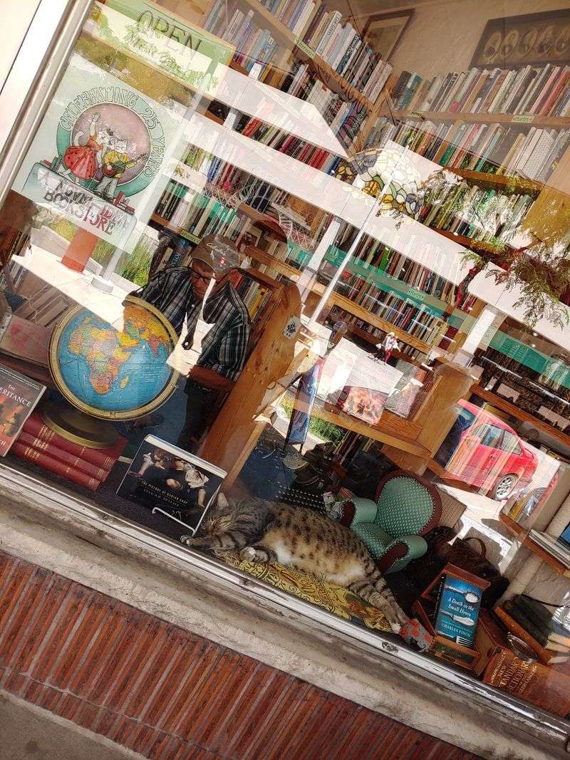 A Shop That Gives Back Downtown