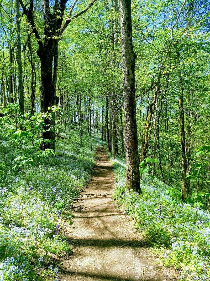 Raven Run Nature Sanctuary
