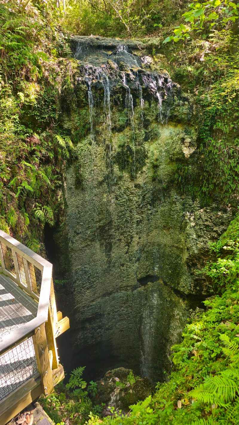 11 Florida Campgrounds So Well Secluded Even Most Residents Miss Them - Decor Hint Falling Waters State Park, Chipley
