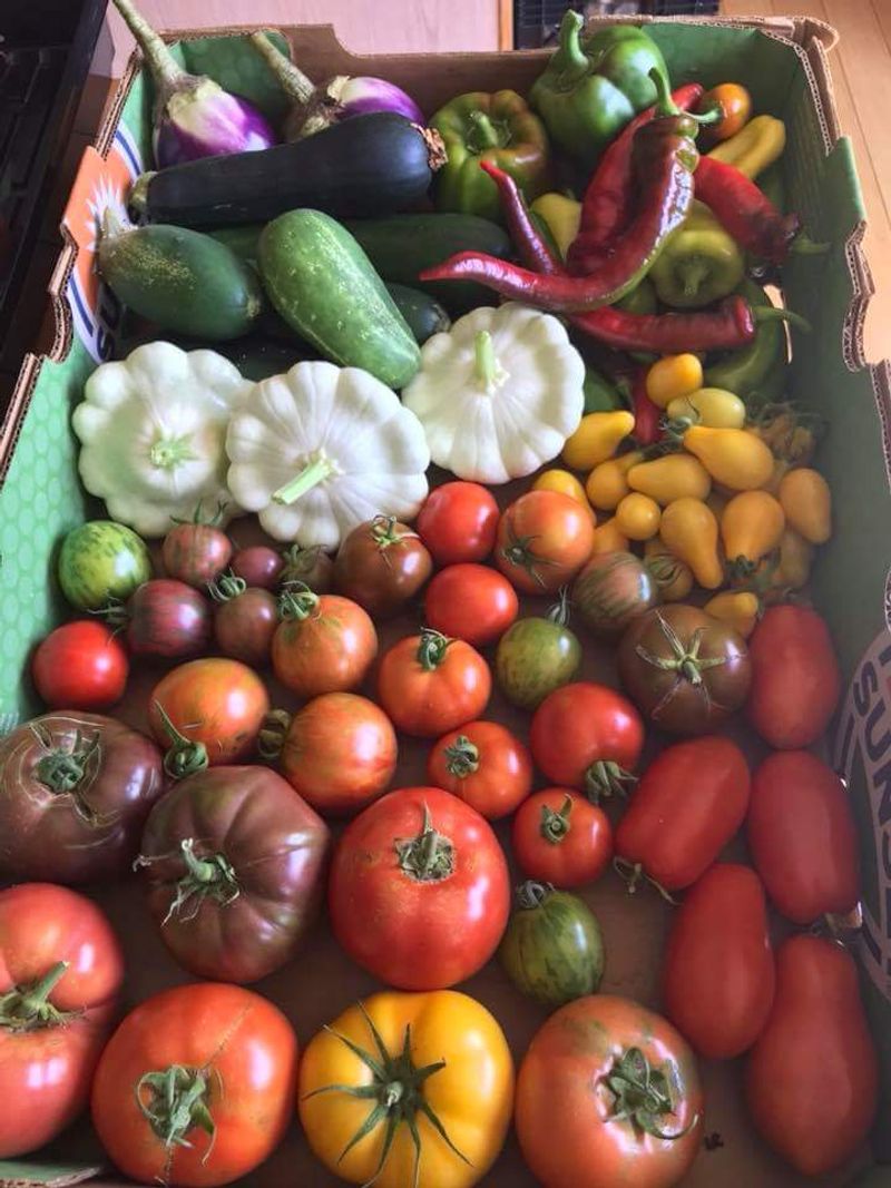 Klamath Falls Farmers Market