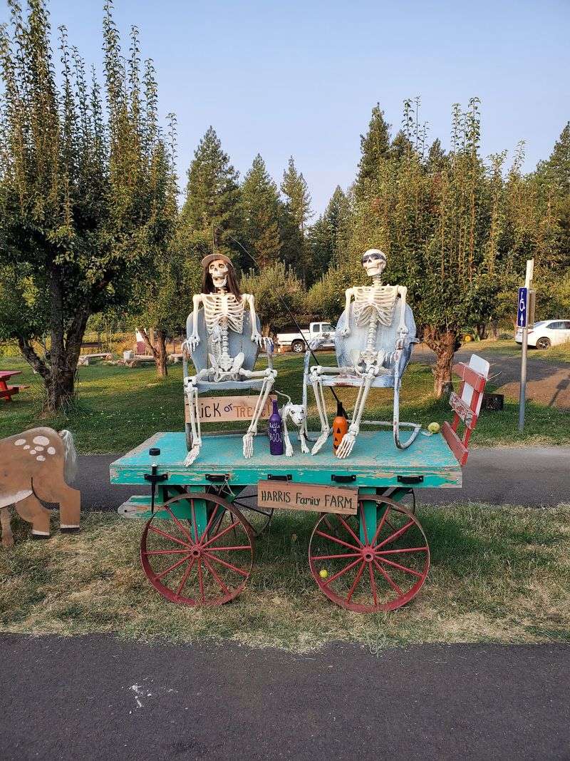 Harris Family Farm: Scarecrows And Mini Pies