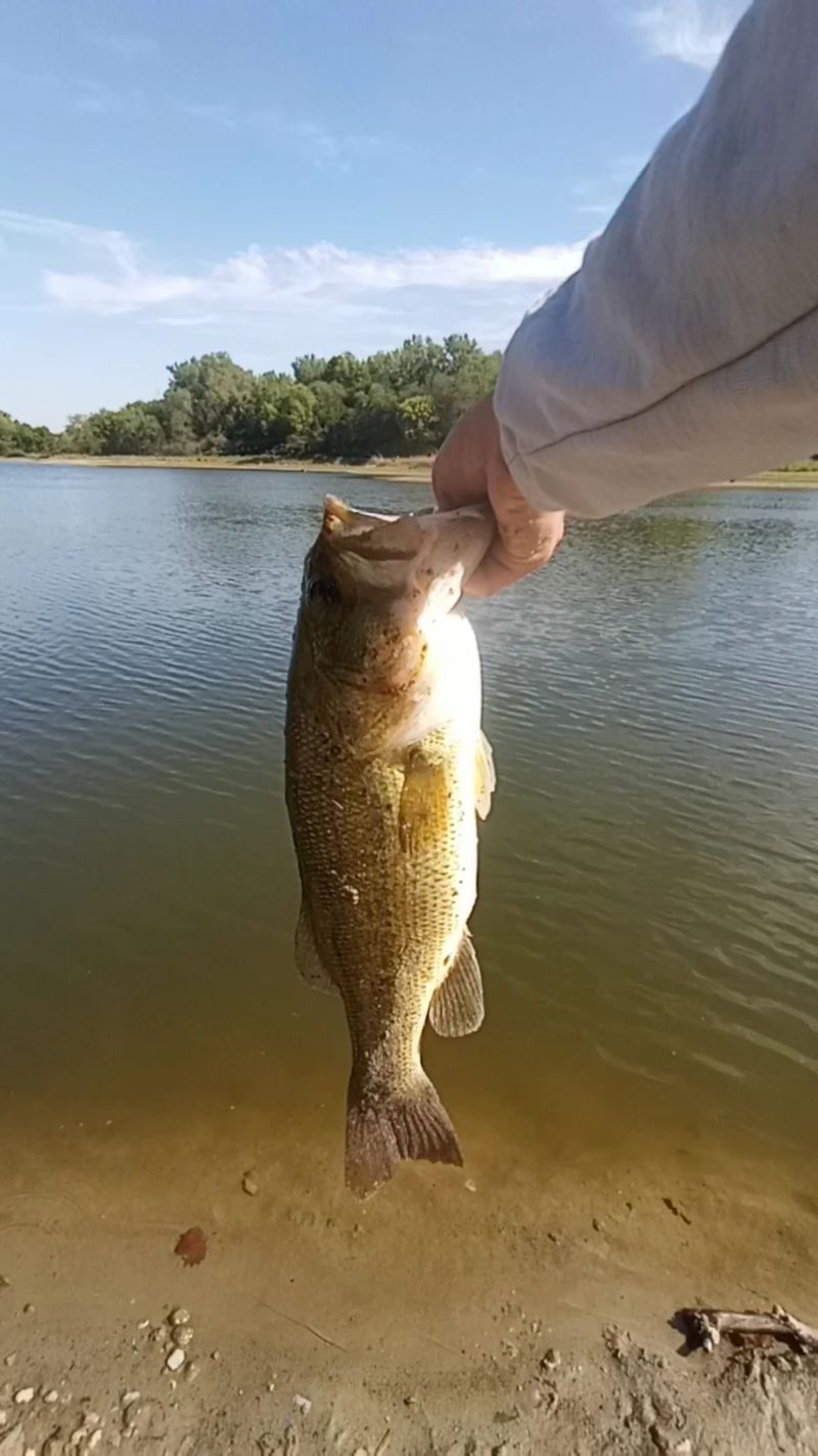 Catfish, Bass and a Lake for Every Style