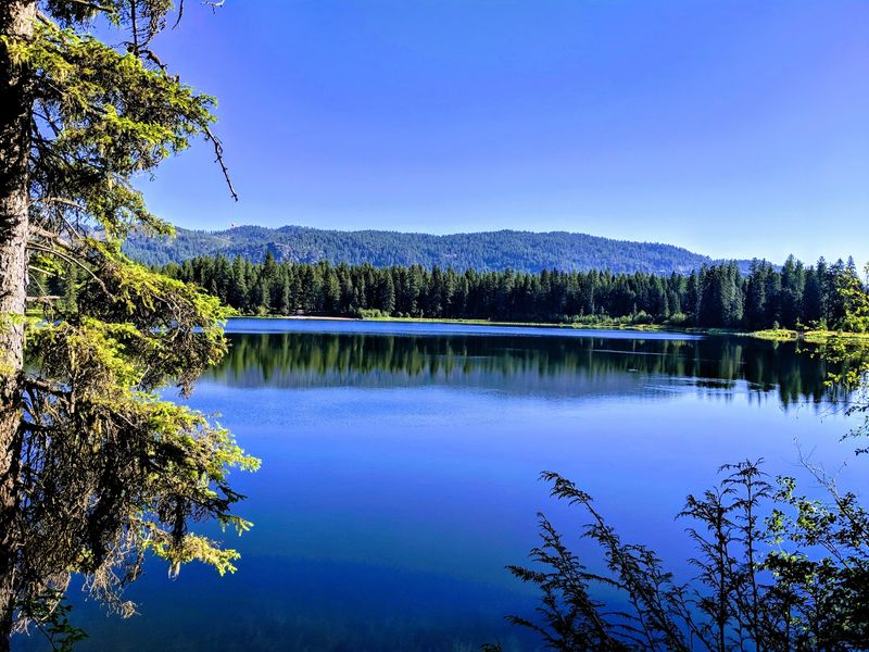 Wake Up To Waves At These 9 Idaho Lakefront Campgrounds Before They Close For The Season - Decor Hint Round Lake State Park In Sagle