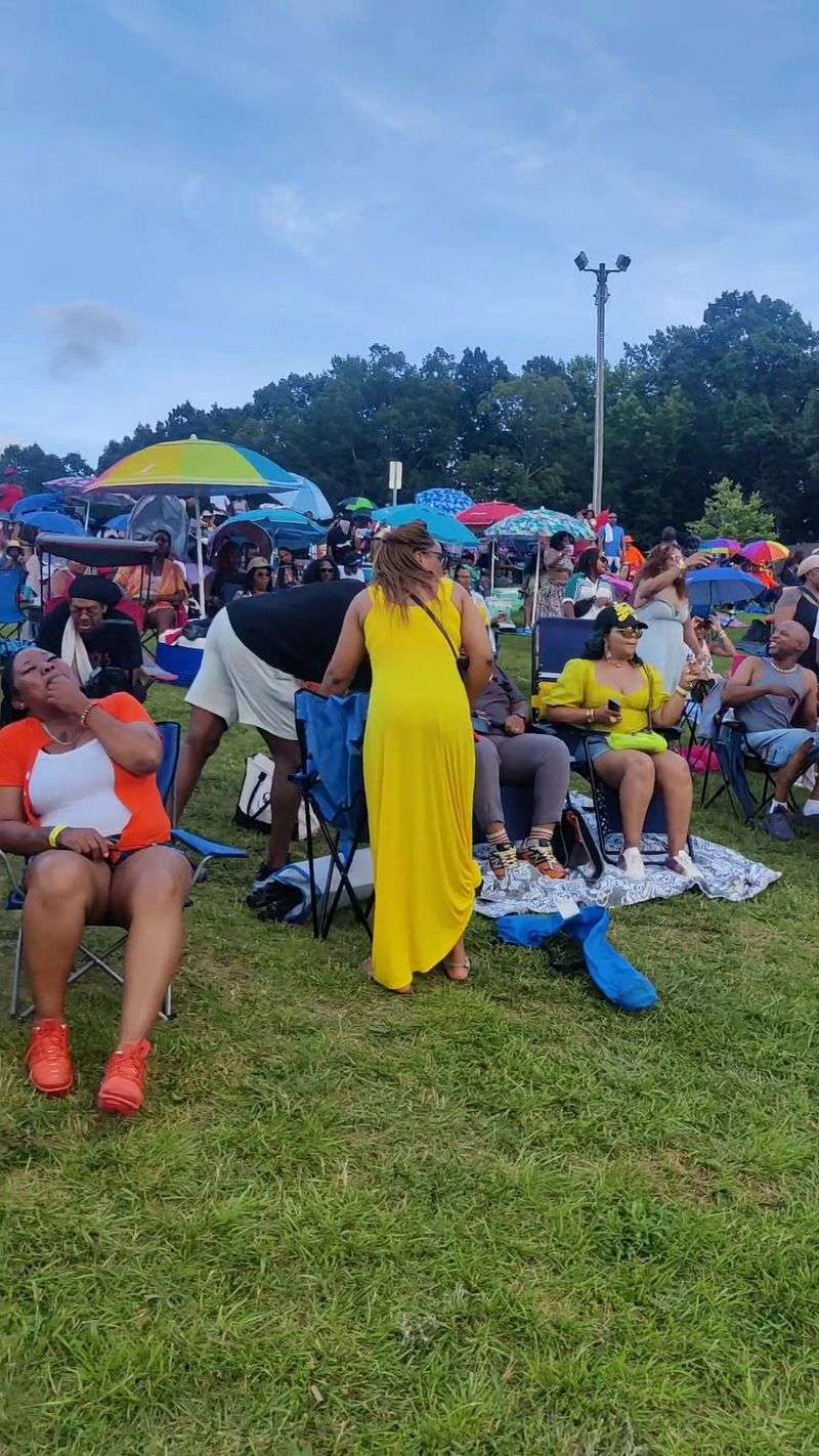 Food Vendors And Festival Booths Fill The Breaks Between Sets