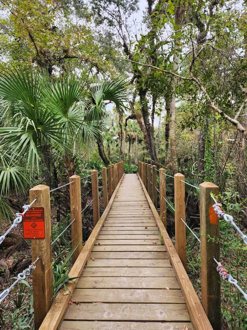 Family Adventure Awaits Along Florida'S Easy Lockwood To Barr Waterfall Trail - Decor Hint Following The Orange Blazes