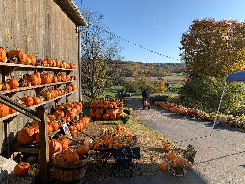 We Compared Connecticut Pumpkin Patches And Here Are 9 That Stand Out - Decor Hint Angevine Farm, Warren