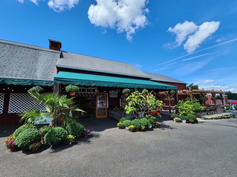 Belltown Hill Orchards, South Glastonbury