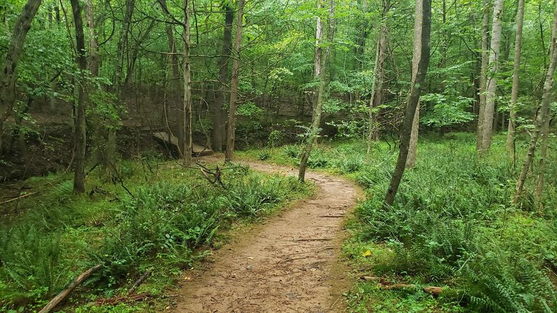 Buckquarter Creek Trail, Eno River State Park, Durham