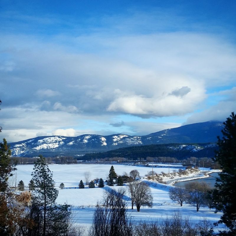 Bonners Ferry