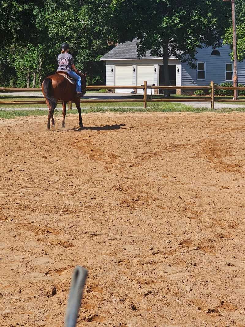 Build Confidence During A Private Riding Lesson