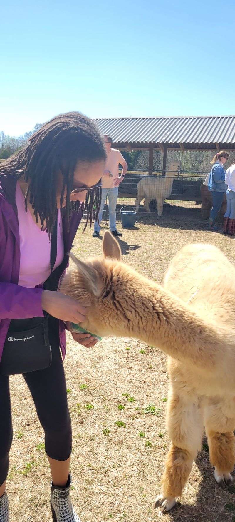 Take Plenty Of Photos During A Close-Up Farm Encounter