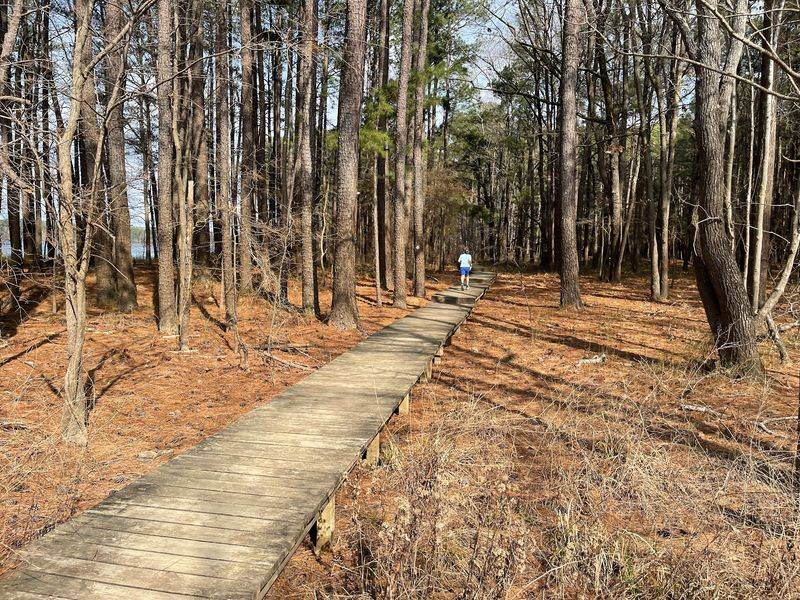 Watch The Ground Carefully Along Trails And Lake Edges