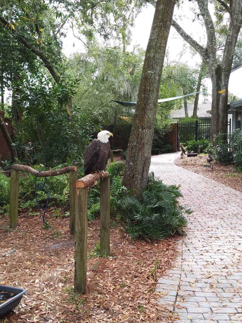 Science Beyond The Fences