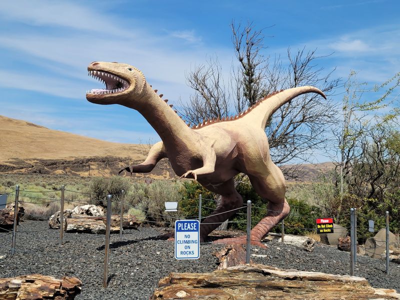 Ginkgo Petrified Forest Interpretive Center, Vantage