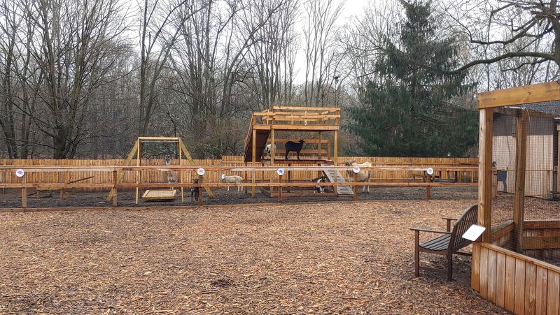 Hungerford Nature Center & Museum, Berlin