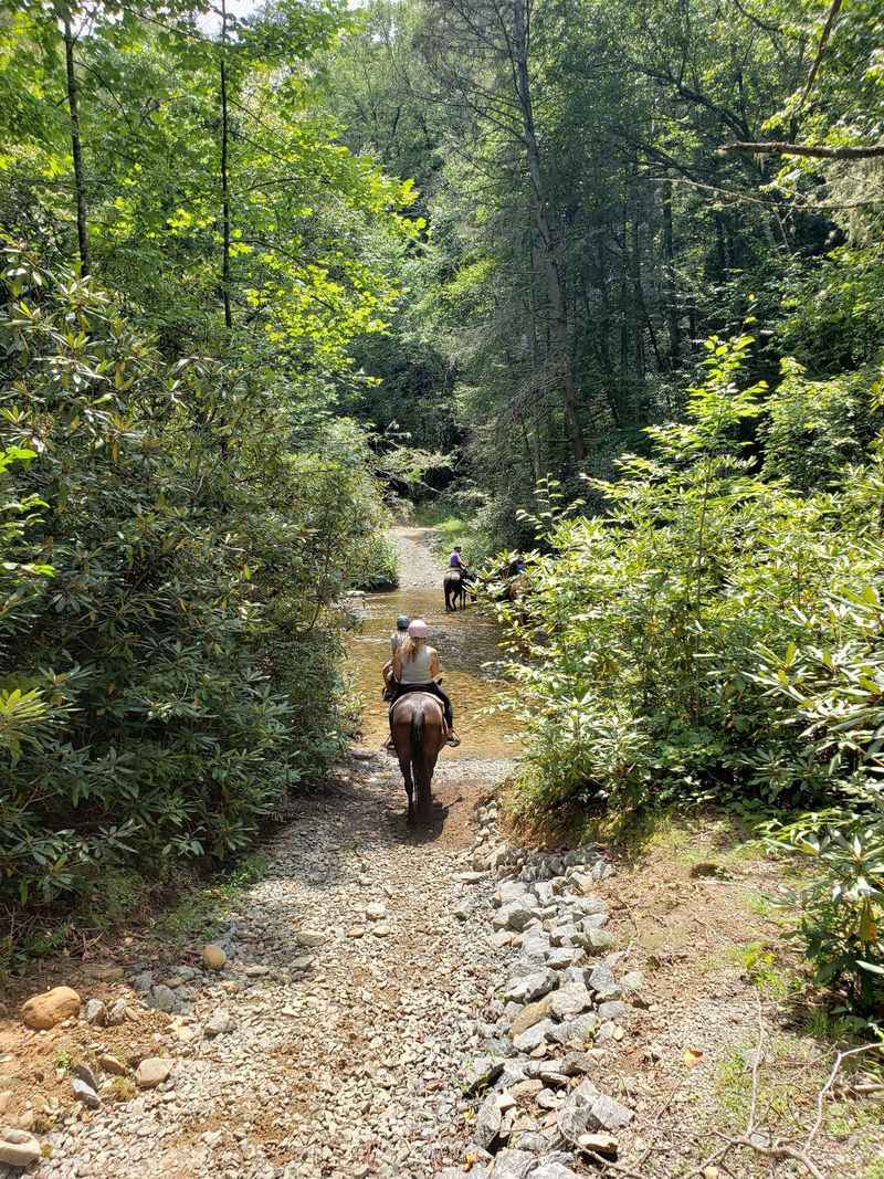 Take In Quiet Forest Scenery Far From The Usual Tourist Stops