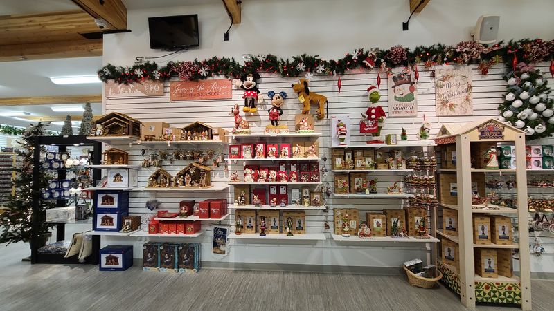Antler Academy And Real Reindeer