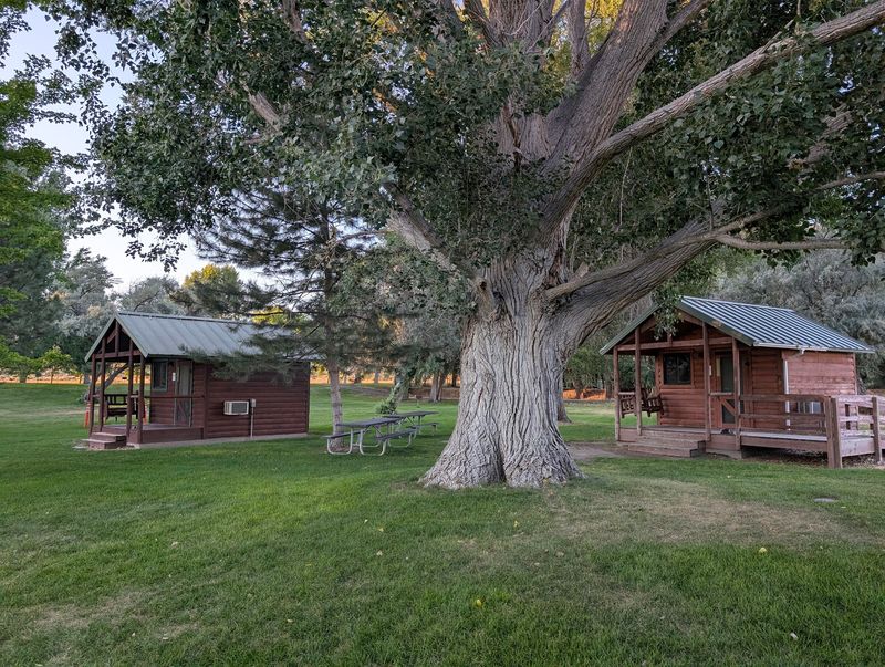 Cabins, Showers, And Hammock Trees