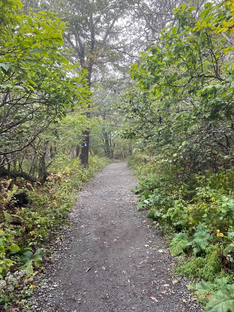 Hawksbill Summit Trail, Stanley