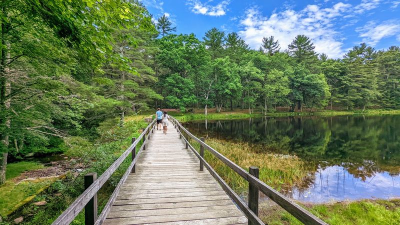 Pulaski State Park Trails, Chepachet