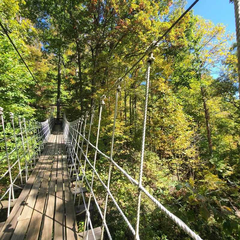 12 Western North Carolina Attractions Nearly Lost To Hurricane Helene That Are Finally Welcoming Visitors Again - Decor Hint French Broad Adventures