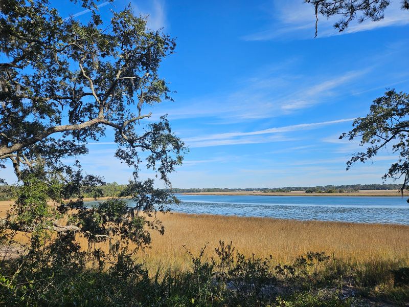 River Views From A Quiet Bluff