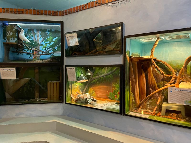 The Animal Room Brings Kids Up Close