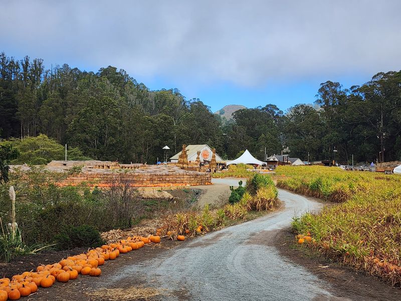 Arata's Pumpkin Farm, Half Moon Bay