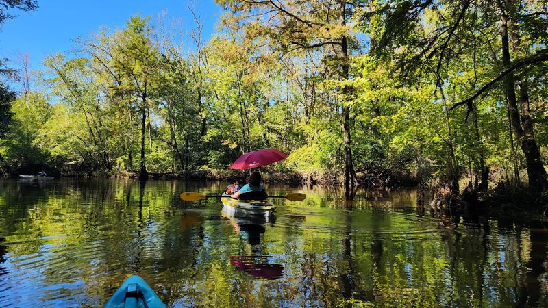 These 12 Free North Carolina Coastal Camping Spots Feel Like Places You Were Never Supposed To Find - Decor Hint Dixon Field, Croatan National Forest