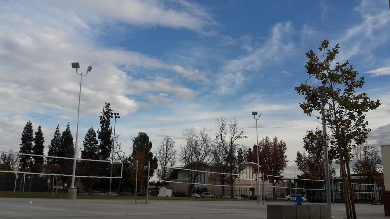 Strong California School Rankings