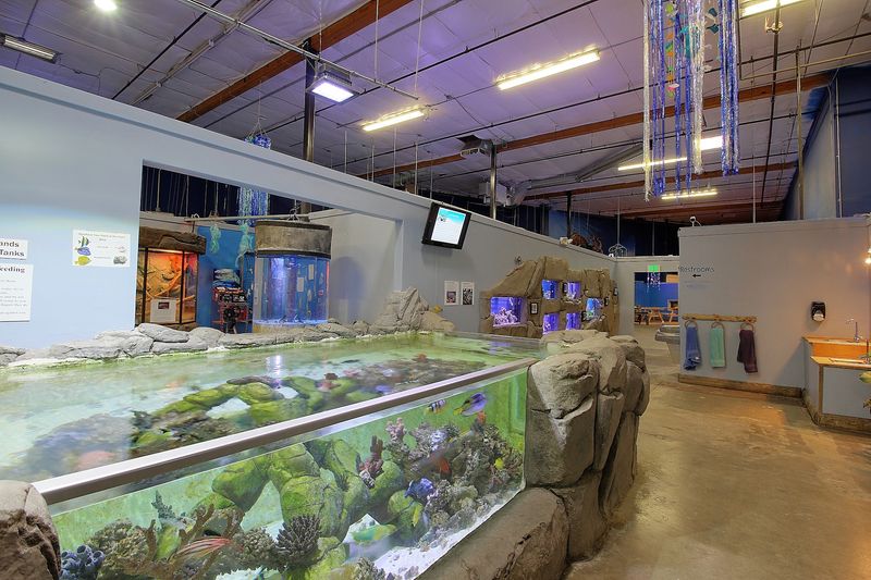 Explore More Than 35,000 Gallons Of Water Under One Roof