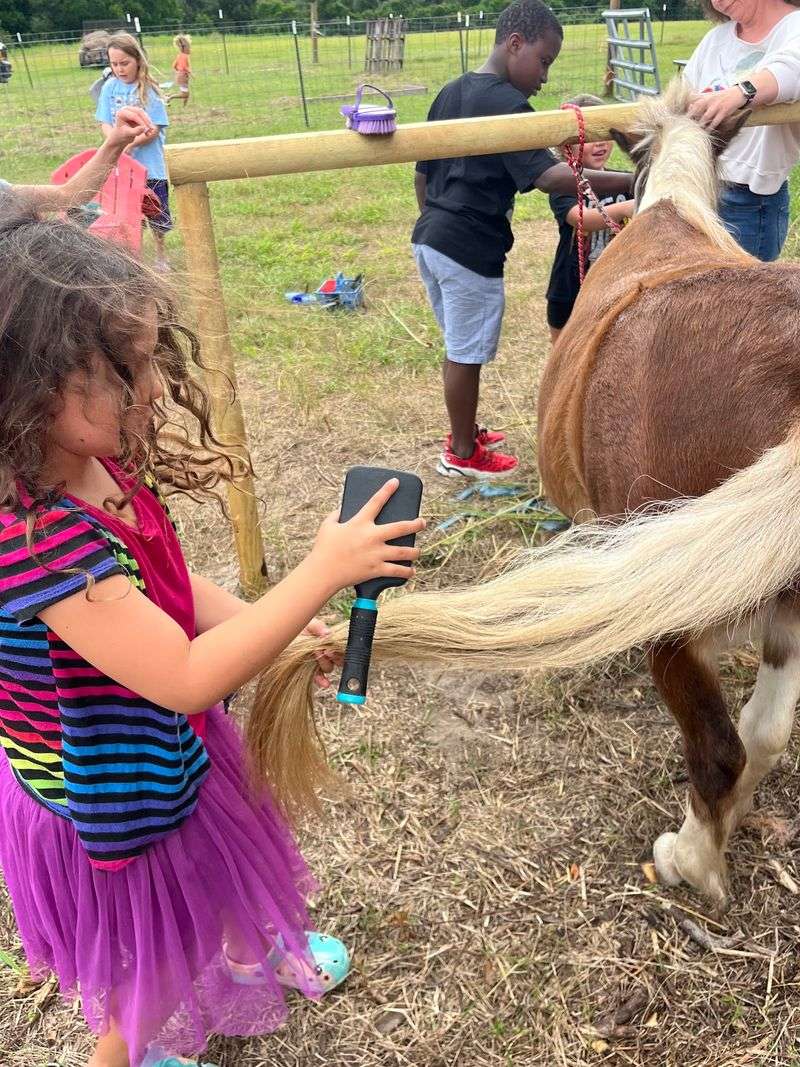 Explore Farm School Programs