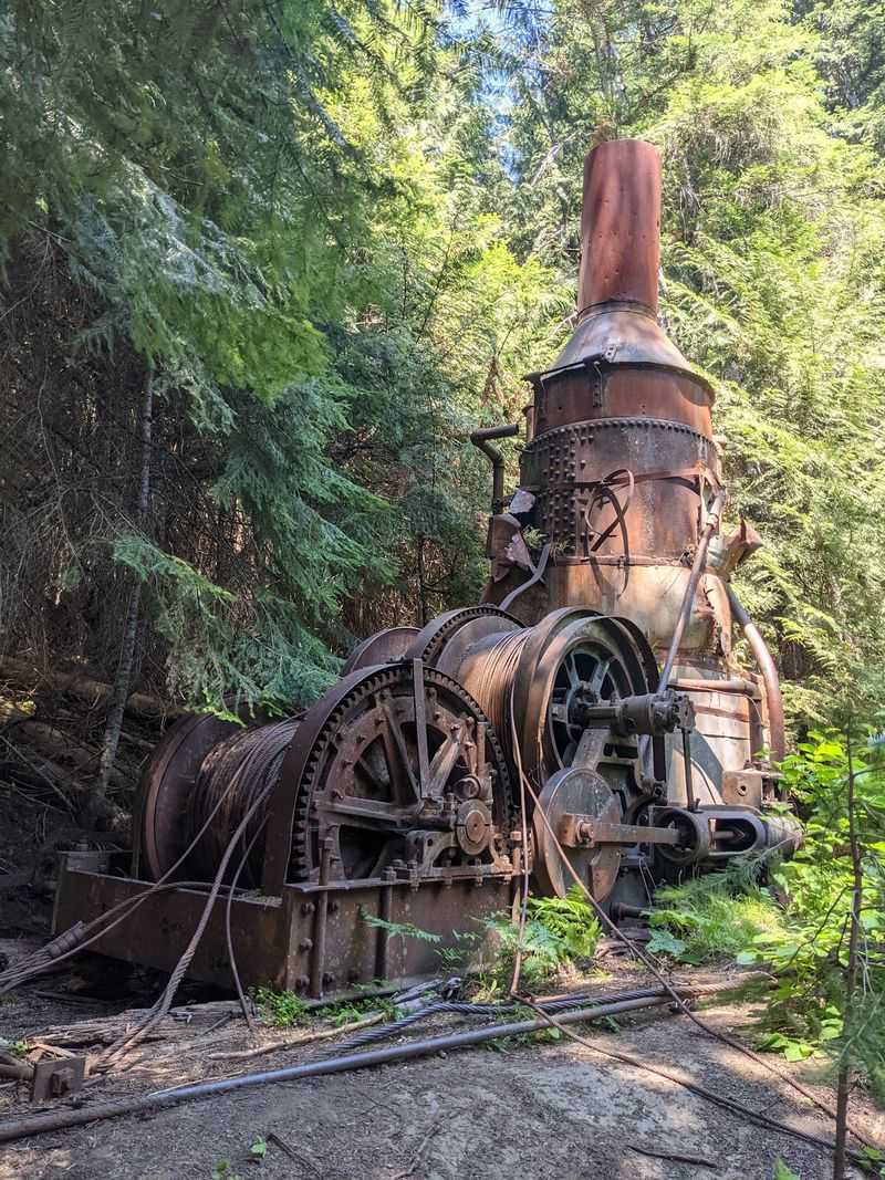 Discover Why Thousands Of Feet Of Steel Cable Still Lie In The Forest