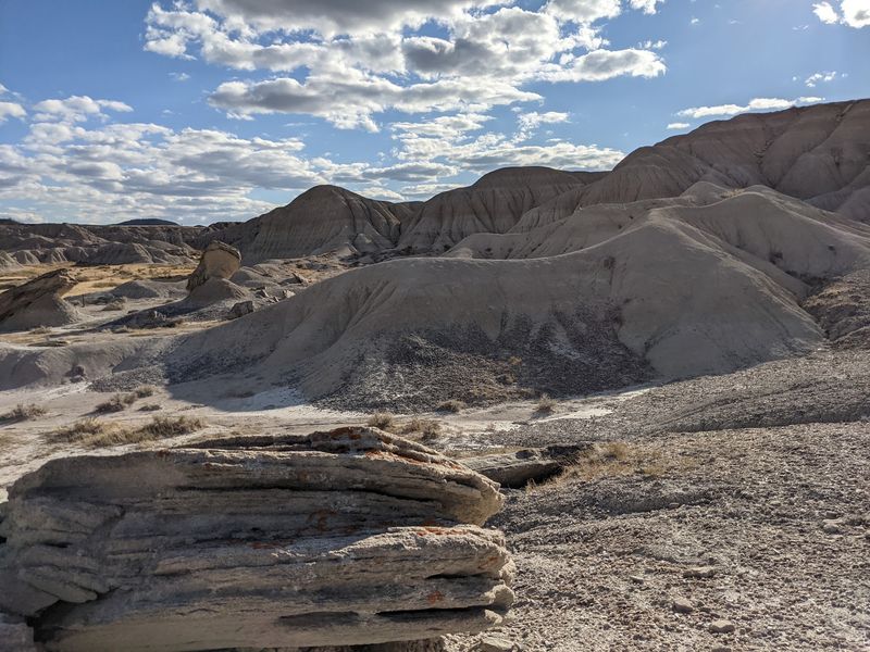 Prehistoric Clues Hiding in Plain Sight