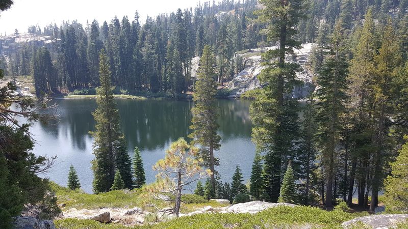 12 California Counties Seeing A Massive Spike In Black Bear Sightings This Fall - Decor Hint Nevada County: Truckee Sits In Classic Bear Country