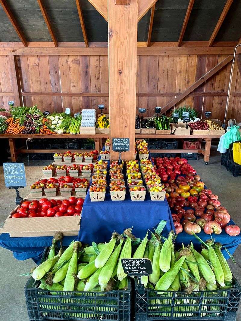 8 California Farm Stands Worth A September Road Trip - Decor Hint Blue House Farm Strawberry U-Pick and Farmstand, San Gregorio
