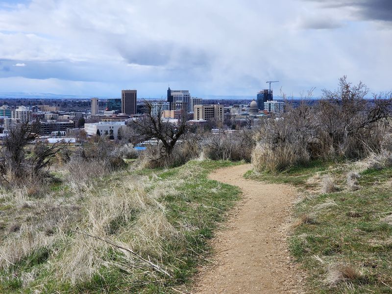 Military Reserve Trails
