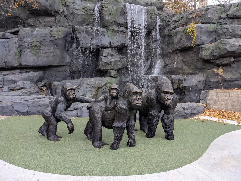 Nebraska Is Home To A Zoo Where A Glass Tunnel Lets Sharks Swim Right Over Your Head - Decor Hint Gorillas and Other Great Apes