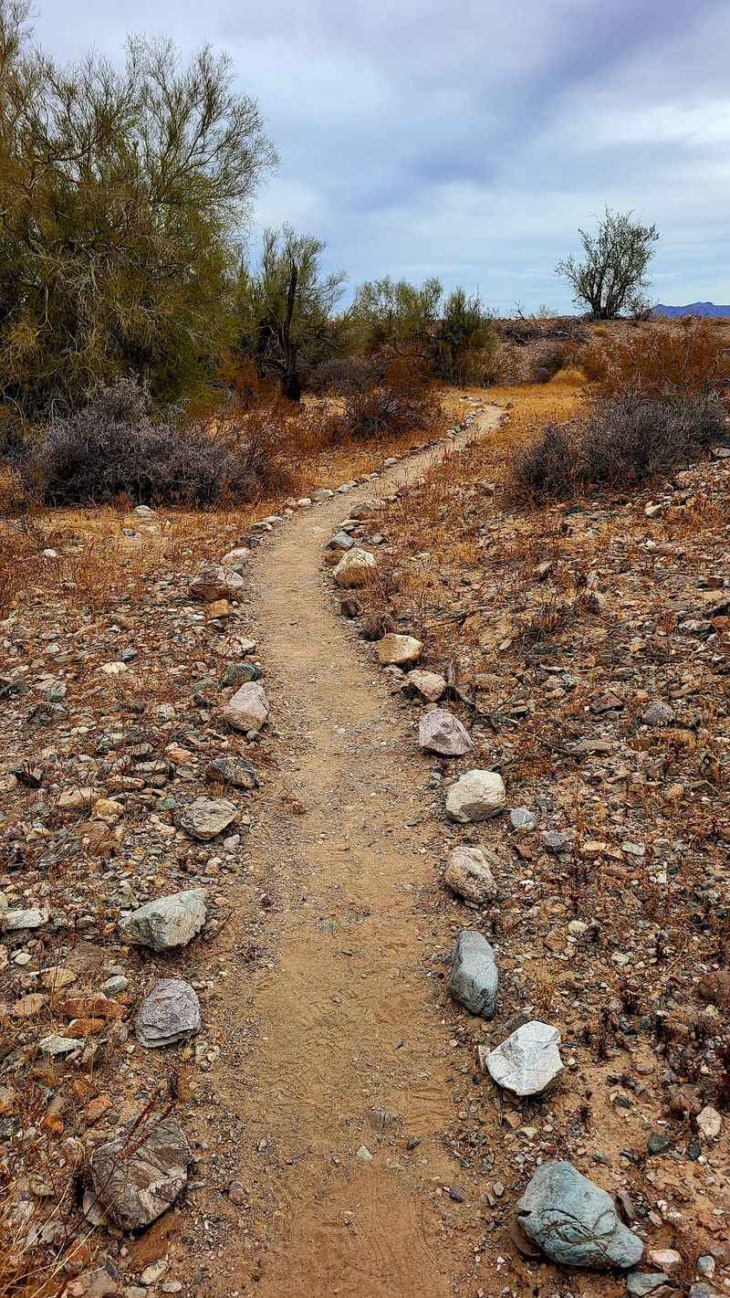 La Posa Long Term Visitor Area, Quartzsite