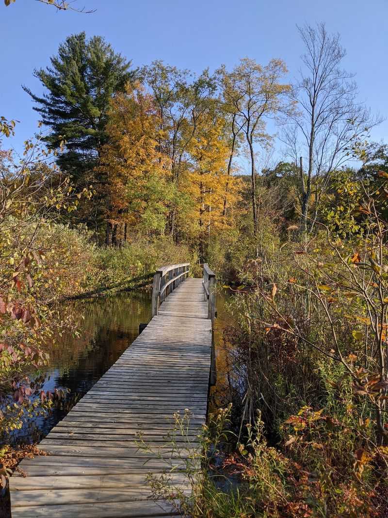 Pleasant Valley Wildlife Sanctuary, Lenox